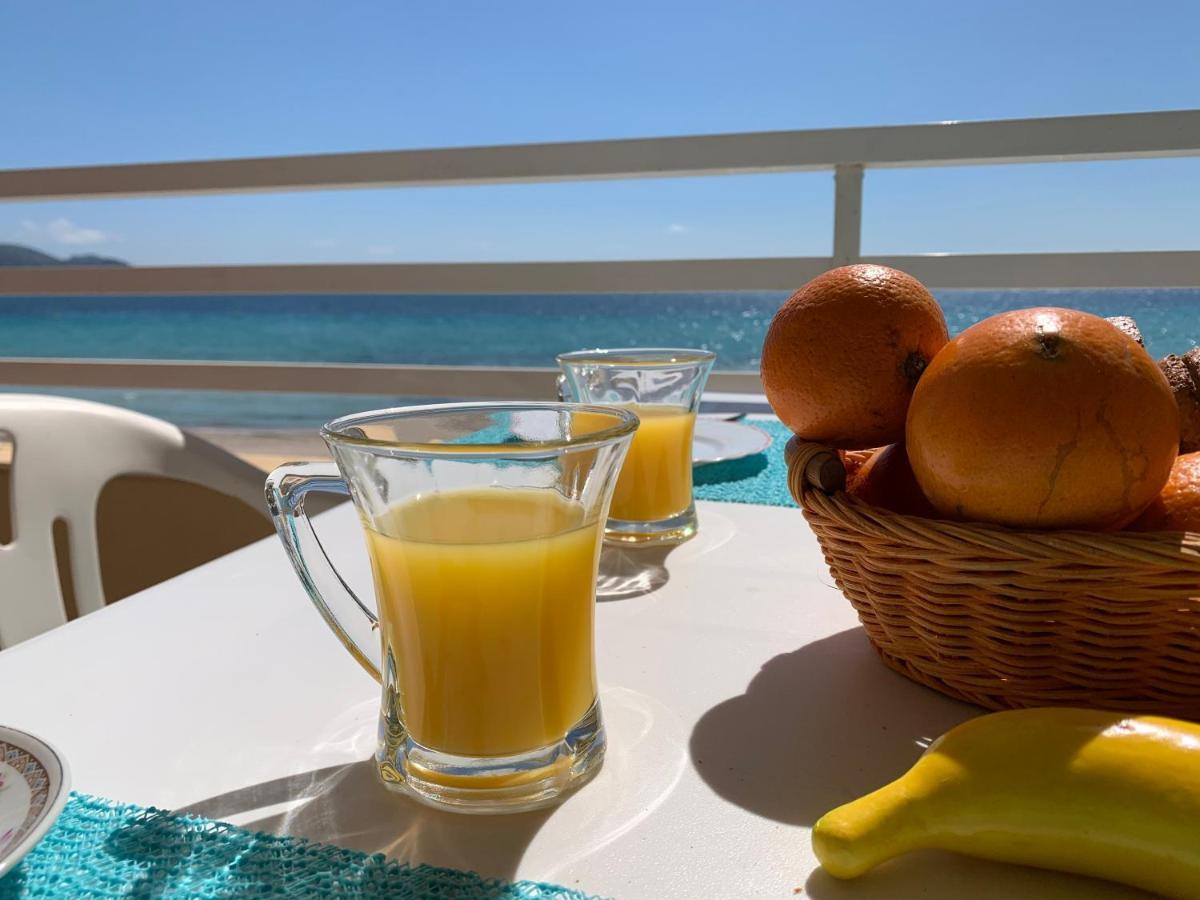 El Paraiso Alcúdia Eksteriør bilde